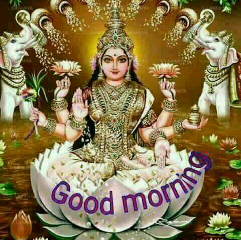 Meet your Posher, Rosita